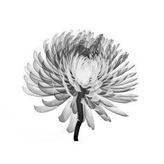 BIOBOOST MASCARILLA FACIAL 2