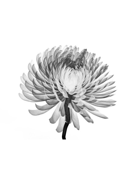 BIOBOOST FACIAL MASK