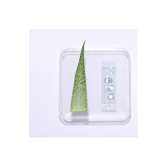 BIOBOOST GEL BASE ALOE
