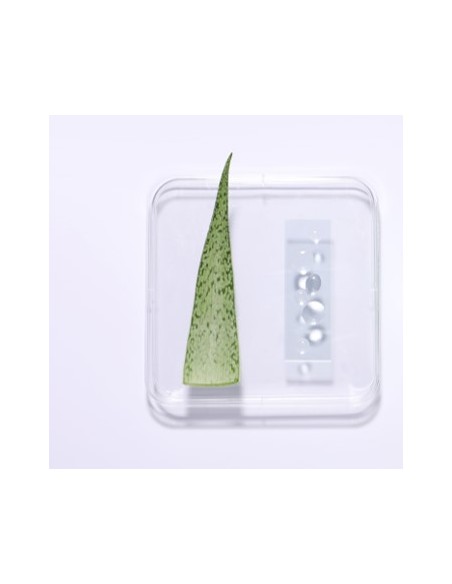 BIOBOOST GEL BASE ALOE